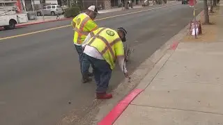 City of San Diego paints 300 parking spots red on Park Blvd in Balboa Park