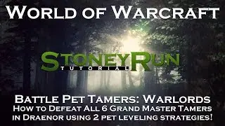 World of Warcraft 2018: Укротители боевых питомцев: Стратегии прокачки питомцев в Warlords 2
