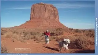 Monument Valley With The Fastest Poodle -- The Navajo Nation Tribal Park Arizona + Utah