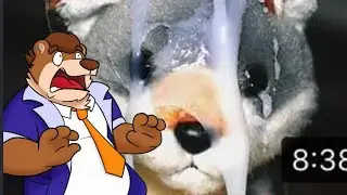 This is gross... | r/YIFFINHELL