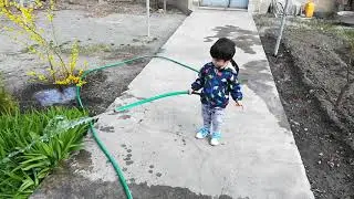 shabatoryak