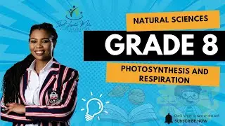 Естественные науки, 8 класс | 1 триместр | 1 и 2 недели | Фотосинтез и дыхание