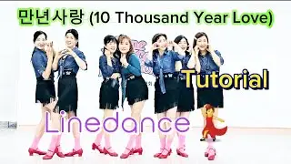 🌹(진진경) 만년사랑(10 Thusand Year Love) Linedance(Easy Intermediate - Trot Cha) - Tutorial 🌺만년사랑 라인댄스