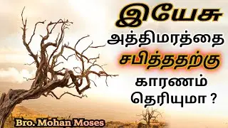 Why Did Jesus Cursed The FIG TREE? | இயேசு ஏன் அத்திமரத்தை சபித்தார்? | Bro.MohanMoses | Livingstone