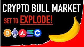 Crypto BULL MARKET Set To Explode! - Huge News!