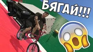 Колела Срещу Тирчета - Пълна Лудница...