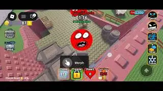 Morph game🎮