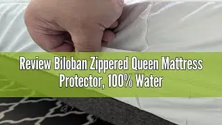 Review Biloban Zippered Queen Mattress Protector, 100% Waterproof Mattress Encasement, Premium Hypoa