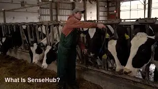 What Is SenseHub?