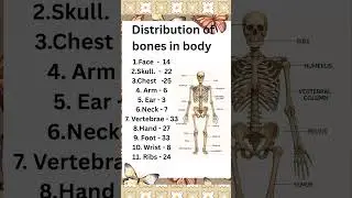 Number of bones in human body Part || General knowledge || Static GK 2024