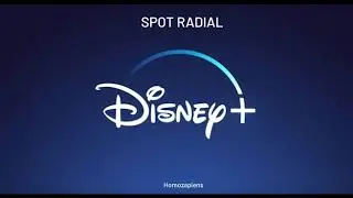 SPOT DISNEY HOMOZ
