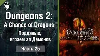Dungeons 2: A Chance of Dragons passage # 25 Nationals, playing for Demons