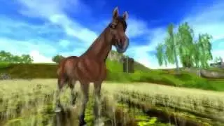 Star Stable -  Brand New Horse, Brand New Animations!