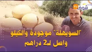 خيرات البلاد من قلعة السراغنة..