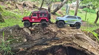 1/24 scale RC crawlers out in the forest - FTX Outback mini and Element Enduro24