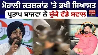 Sohana Kabaddi Match Firing | Mohali ਕਤ/ਲ/ਕਾਂਡ 'ਤੇ ਭਖੀ ਸਿਆਸਤ, Partap Bajwa ਨੇ ਚੁੱਕੇ ਵੱਡੇ ਸਵਾਲ |LIVE