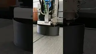 Robotic LFAM Timelapse