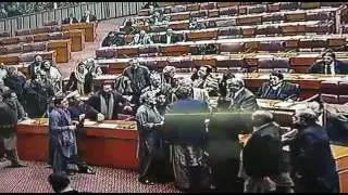 Original video Pti and pmln fighting in Parliament