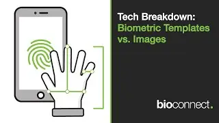 Breaking Down Biometric Myths: Templates vs. Images
