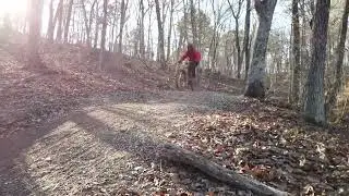 Leatherwood 2