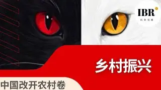 《被使用的土地》第六卷｜乡村振兴：谁的振兴？｜中国改革开放48年的国家试验