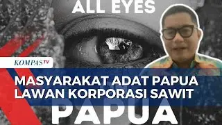 Masyarakat Adat Awyu dan Moi di Papua Lawan Korporasi Sawit, Bagaimana Duduk Perkaranya