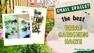 Urban Gardening Hacks for Tiny Spaces!