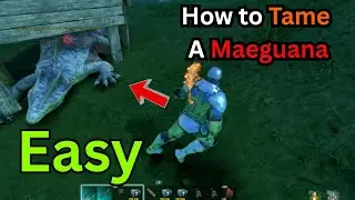 🔥 EASY Maeguana Tame in ARK Survival Ascended &ndash; Brotha Si&rsquo;s No-Fail Guide!