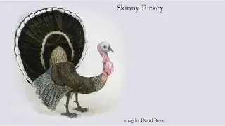 Skinny Turkey song