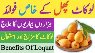 Lokat Phal Ke Fayde || Loquat Khane Ke Fawaid || Benefits Of Loquat Fruit In Urdu