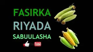 Riyada sabuul galley ama masago ama qamadi qofkii ku riyoodo geedka sabuulka