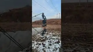 How accurate is a dual-purpose compound bow at 40 meters? #archery #outdoors #hunting #bowhunting