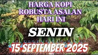 info Harga kopi robusta asalan hari ini SENIN TANGGAL 15 SEPTEMBER 2025