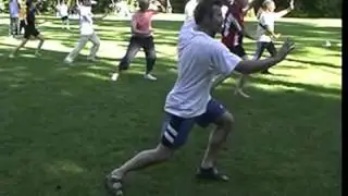 Taiji handform Langform