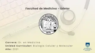 Transcripción