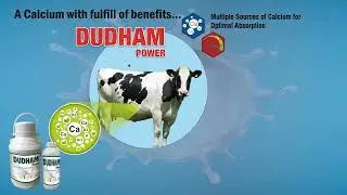 Dudham Power