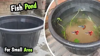 Turning Plastic Tub into Beautiful Fish pond 😍
