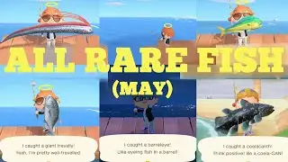 Поимка ВСЕХ 5 редких рыб [МАЙ] - Animal Crossing New Horizons