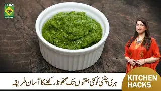 How to Preserve Green Chili Sauce | Kitchen Hack | Masala TV