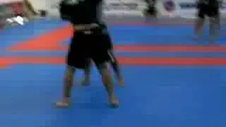 Jiu-Jitsu World Championship - Fight Sports