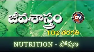 X BIOLOGY -  CH 1 - NUTRITION - PODCAST