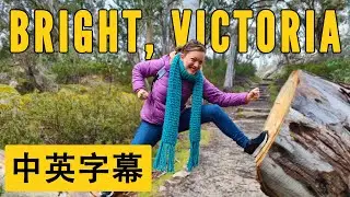 墨爾本高山區 What's 4 hours East of Melbourne?