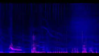Acoustic Human Orca Interaction