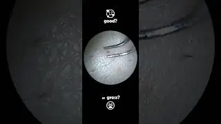 Good or Gross? satisfying ASMR