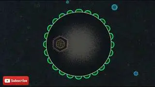 Coronavirus, Explained (2020) - Official Trailer