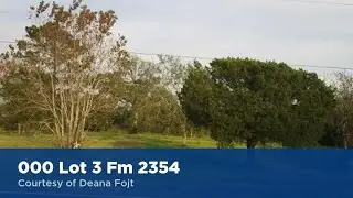 000 Lot 3 Fm 2354  Beach City, Texas 77523 | Deana Fojt | Homes for Sale
