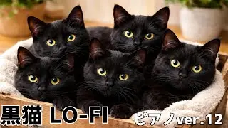 【ローファイ黒猫ピアノ 癒やしのBGM ver.12】