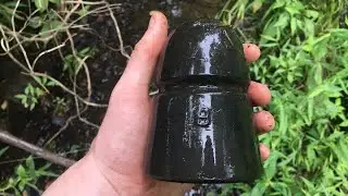 Insulator hunting along old railroad