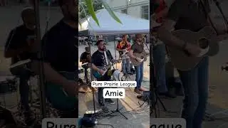 Pure Prairie League- Amie #cover #livemusic #amie #classicrock #coversong #harmonica #live #virginia