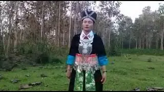 Maiv vwj hawj hai kwv txhiaj rau ib tu niam tsev nyob mi ka teb
